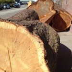 Raw lumber
